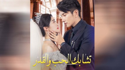 تشابك الحب والقدر