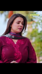 Pakistani actress who played the