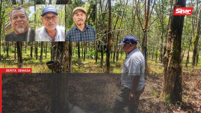 Menjelang Belanjawan 2026: Harapan pekebun durian, sawit dan getah