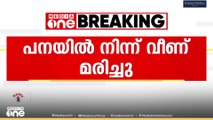 പനയില്‍  നിന്നും വീണ് യുവാവ് മരിച്ചു