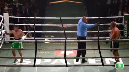 porrada generalizada kkkkkkk nocaute do wanderlei silva