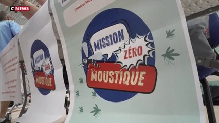 Chikungunya : plus de 500 contaminations en métropole