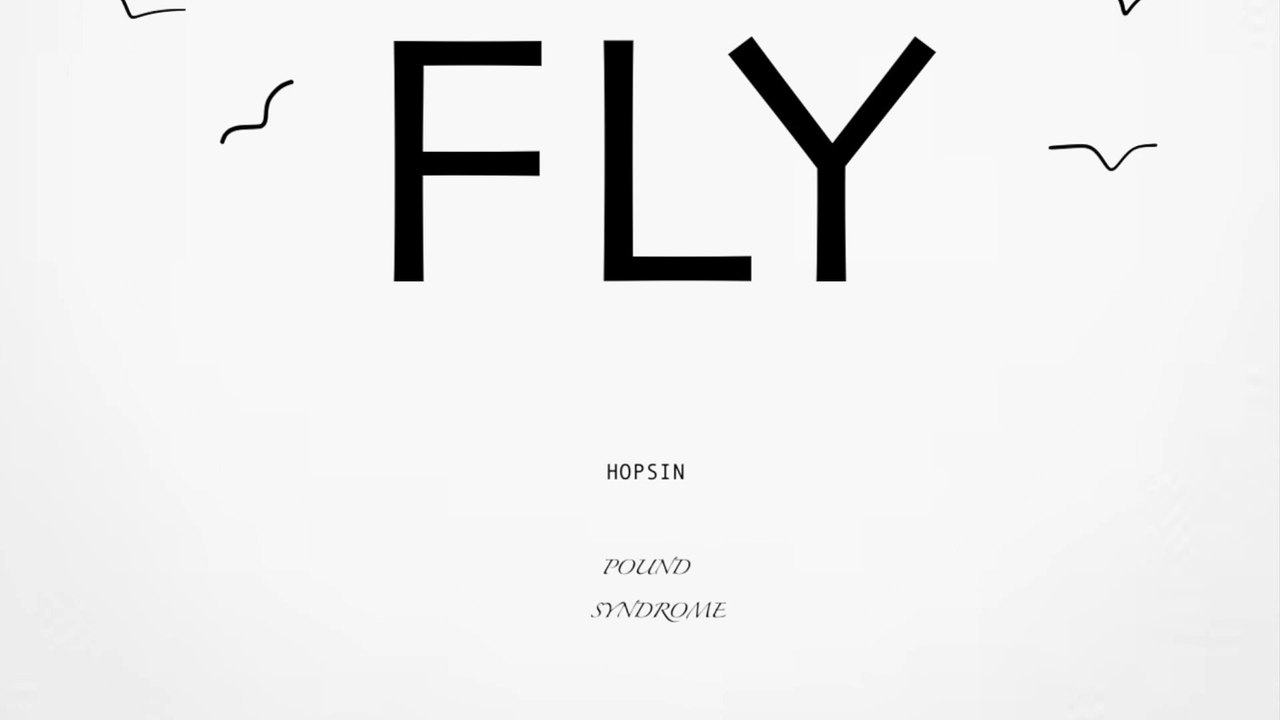 Fly