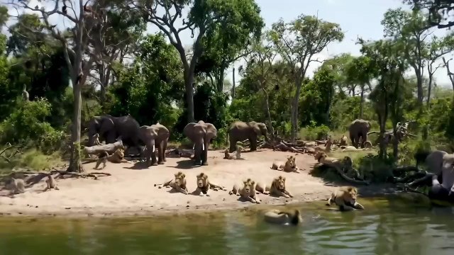 Welcome to the jungle ♥️