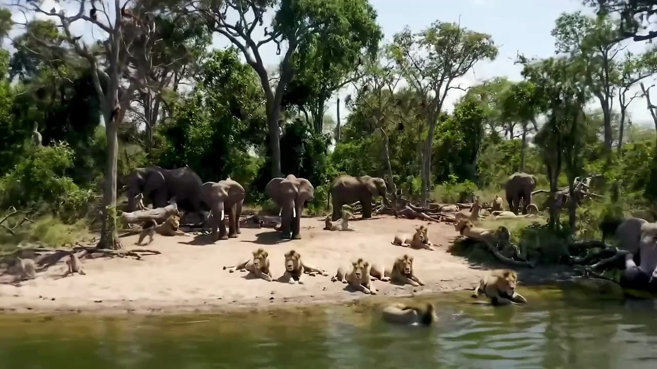 Welcome to the jungle ♥️