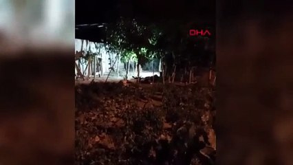 Kırşehir'de aile faciası: Anne ve babasını öldürdü, 2 kuzenini yaraladı