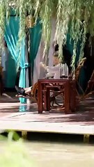 [Hot 2025🔥] Threads Of Fate The Embroidery Seeker Full Movie