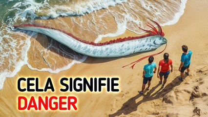 Ces Signes d’Alerte qui Pourraient Vous Sauver la vie Avant une Catastrophe