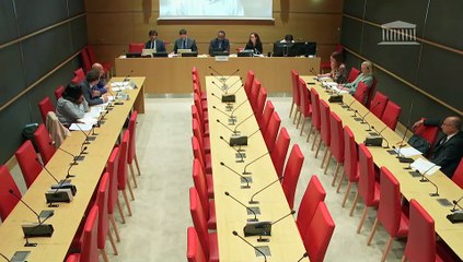 Accès à une justice adaptée aux besoins ultramarins : Auditions diverses - Lundi 29 septembre 2025