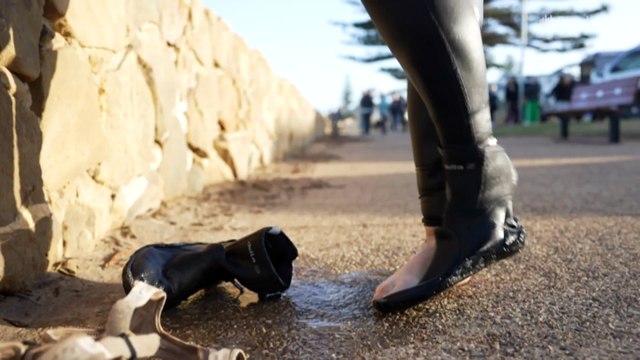 Concerns over persistent toxic bloom in SA as summer approaches