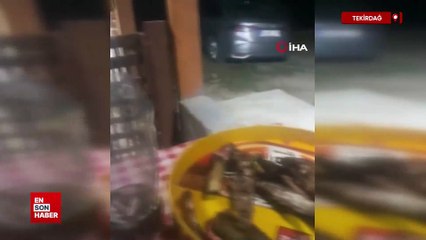 Tekirdağ'da tilki ile sohbet görenleri güldürdü