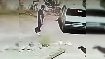 Seyir Halindeki Araçta Yılan Çıktı! Sürücü Kendini Yola Attı