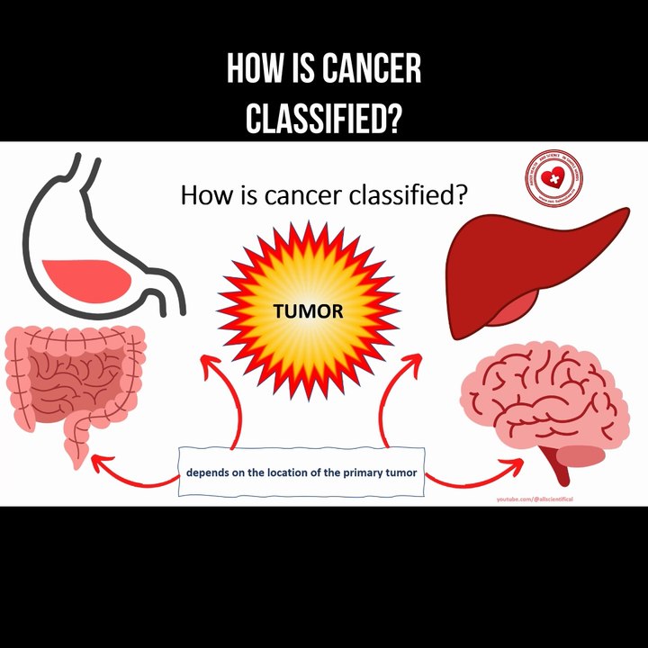 How is cancer classified?
