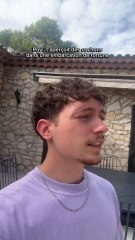 Des cochons font la guerre aux oiseaux ?! 🐷