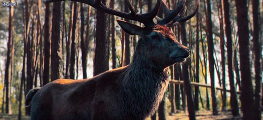 The Breslau Murders tv series //  Season 1 , Episodes 7