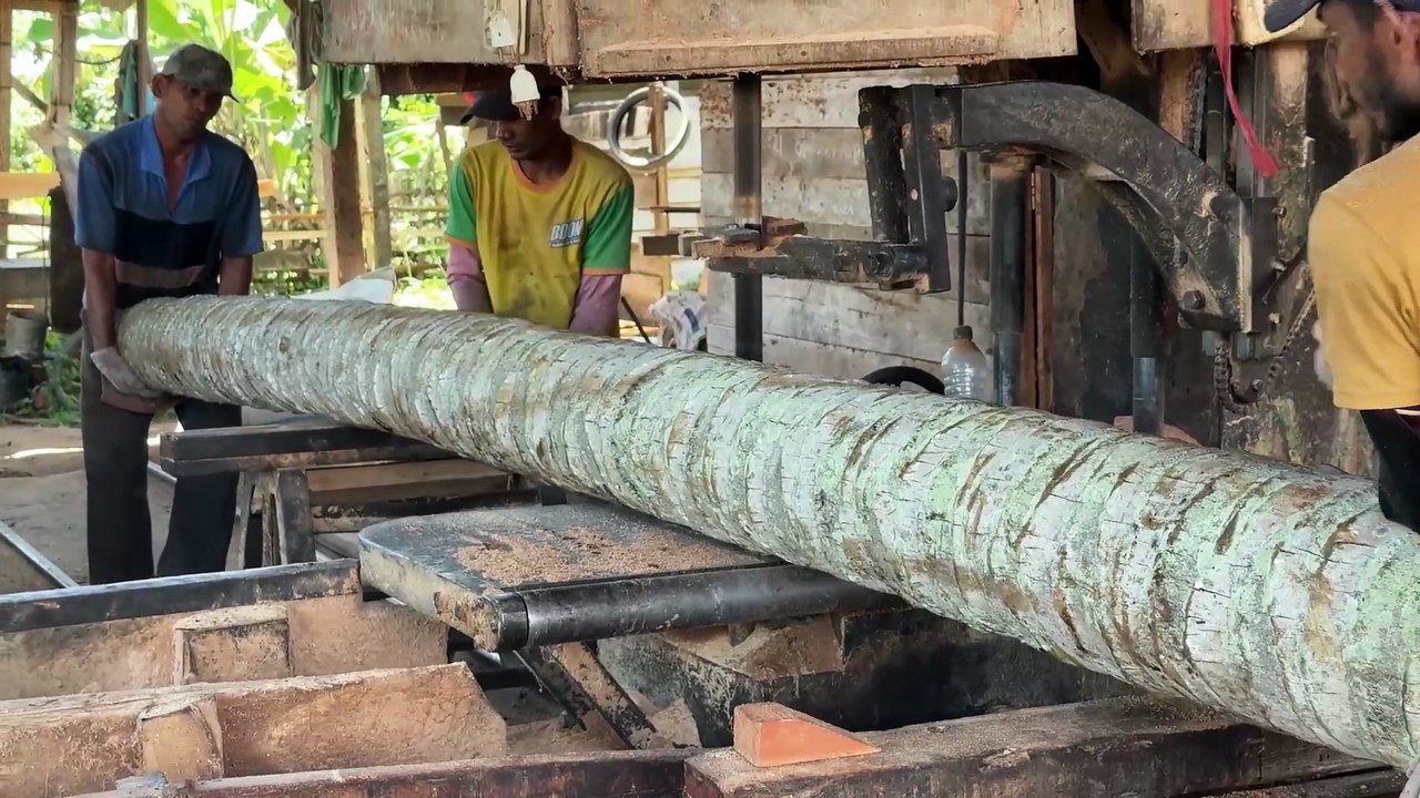 Coconut Wood Production Efficiency 2x20 with Sawmill Machine