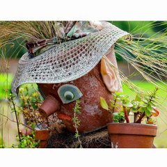 Turn your garden into a masterpiece with these 80+ creative garden design and décor ideas! 🌸 Whether you have a small backyard, a modern patio, or a large outdoor space, these trending DIY garden transformations will inspire Reacts | DIY videos | crafts