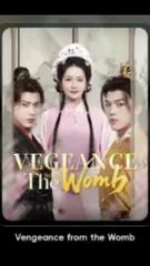 VENGEANCE FROM THE WOMB Chinese Drama