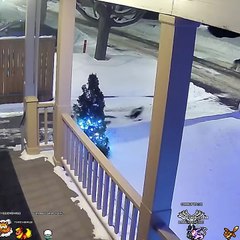 Compilations of the funniest moments on Earth