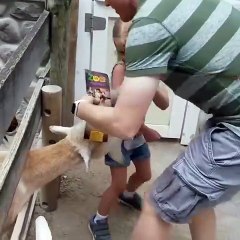 Compilations of the funniest moments on Earth