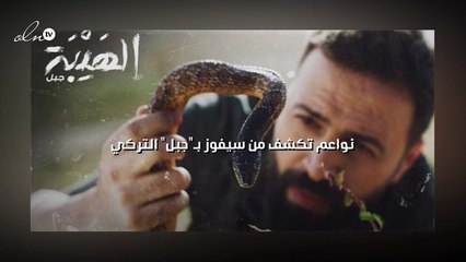 نواعم تكشف من سيفوز بـ"جبل" التركي