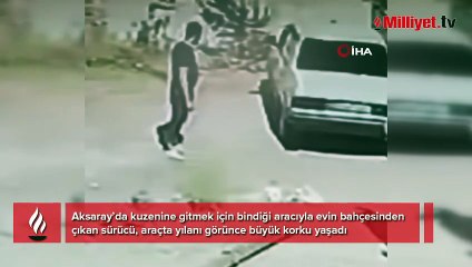Seyir halindeki araçta yılan paniği! Otomobil durmadan dışarı atladı