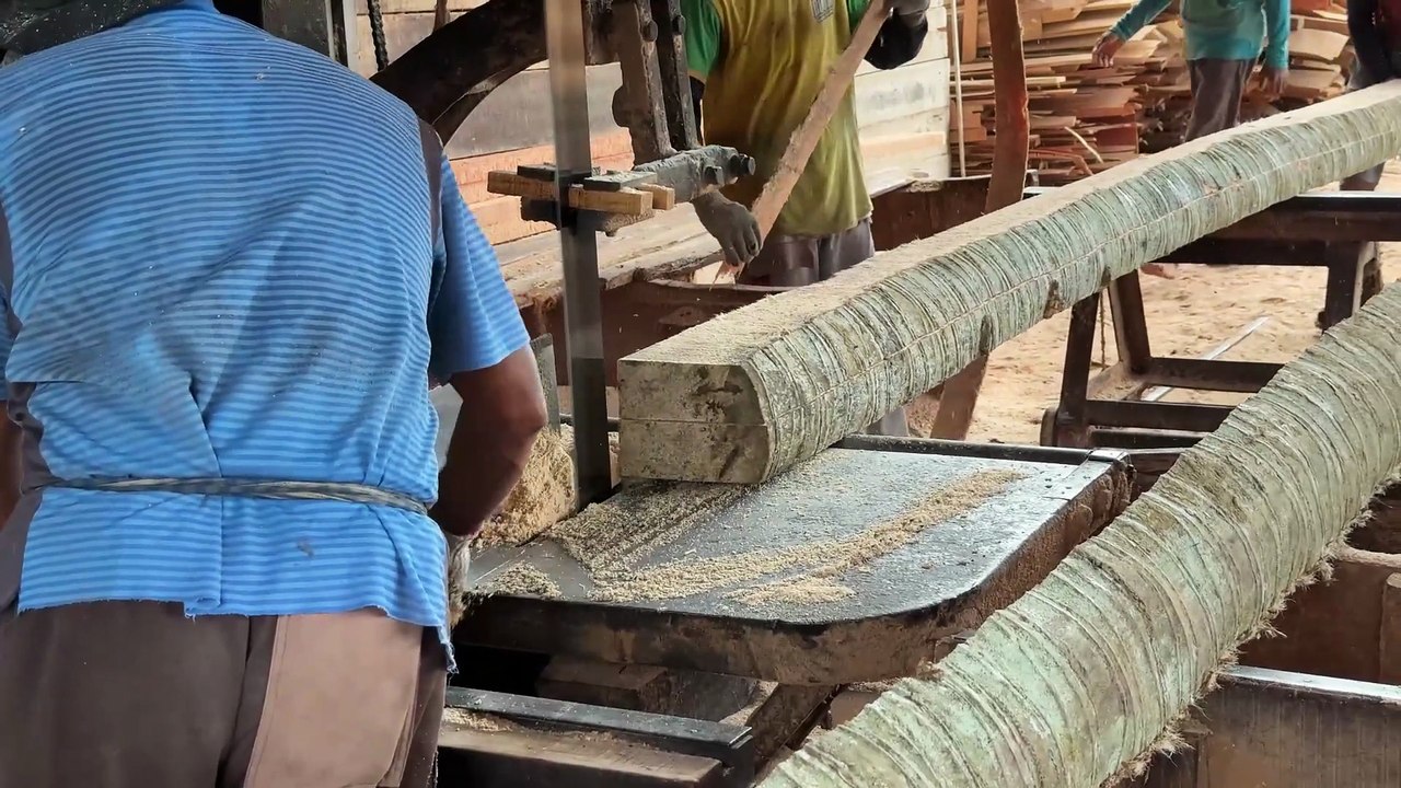 Increasing 5x7 Coconut Wood Production Results with Sawmill Technology