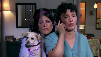 Descubre los Secretos para Ser Feliz: Capítulo 87 del Manual de la Felicidad 😊