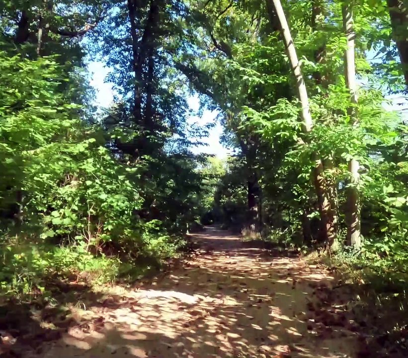 Video Vtt Sortie plutôt mécanique que VTT mais sous le Soleil