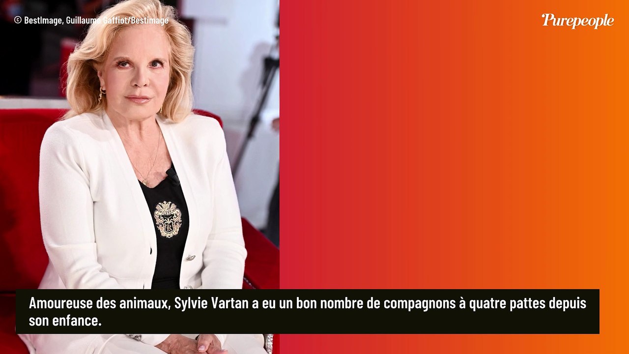 Sylvie Vartan : Un de ses plus fidèles compagnons l'a quittée, David Hallyday et Ilona Smet présents à ses côtés
