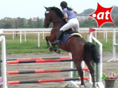 Sabrina Winkler, Springreiten, Kottingbrunn (2008-008)