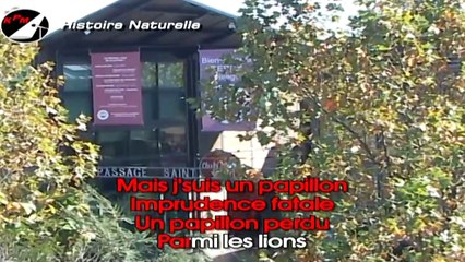 NOLWENN LEROY — Histoire Naturelle