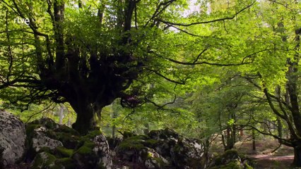 Explora El Encanto Del País Vasco: Cultura, Gastronomía Y Paisajes