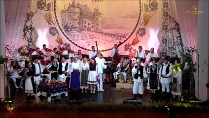 Cornel Borza - Nu sti' fata saraca (Festivalul National „Strugurele de aur” - Blaj - 04.09.2025)