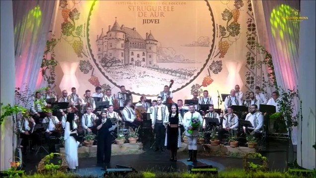 Daria Costea - Premiul in memoriam Liviu Necsulescu (Festivalul National „Strugurele de aur” - Blaj - 05.09.2025)