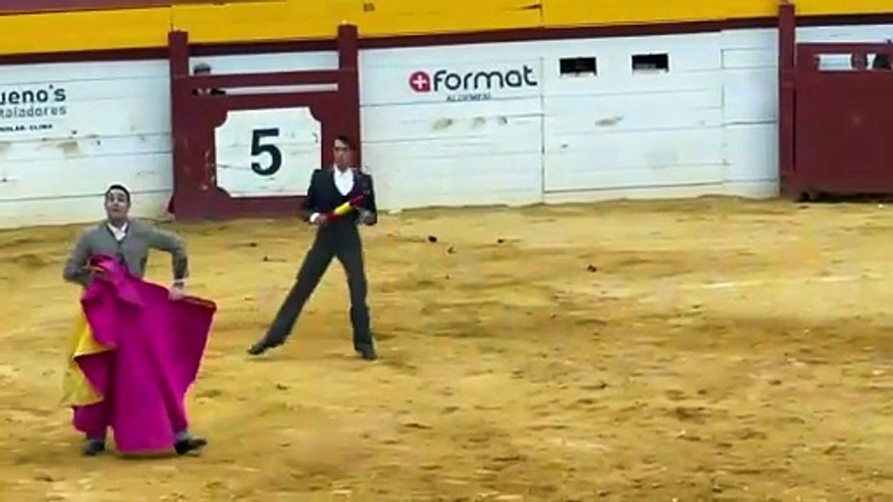 Cogida de Navalón en Algemesí