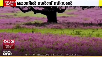 ഒമാനിൽ സർബ് സീസൺ; ഡിസംബർ 21 വരെ വിനോദസഞ്ചാരികളെത്തും