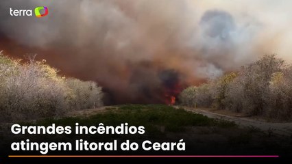 Incêndios de grandes proporções atingem Litoral Leste do Ceará