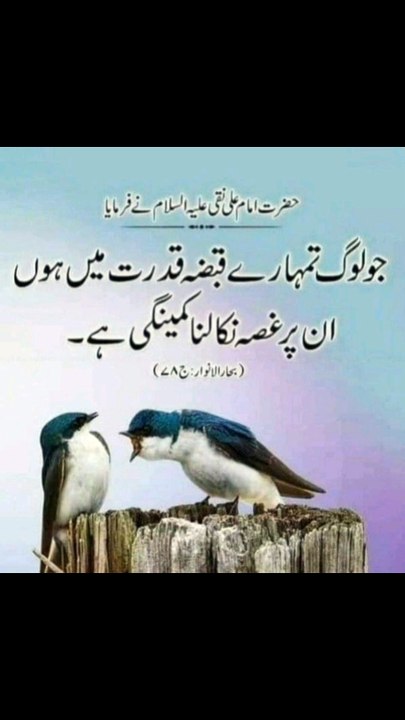 ویڈیو  کو  فالو کریں لائک کریں اور شیئر