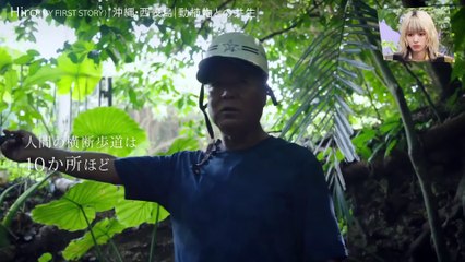 Welcome To Waikiki EP.25 Hindi Dubbed