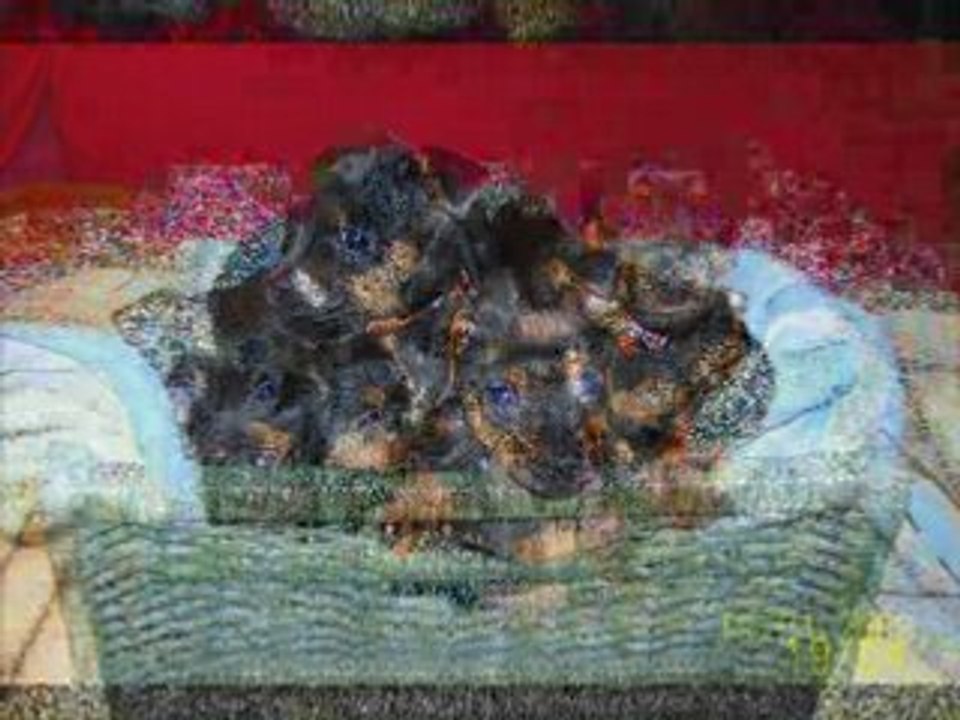 ta tite cloche ne sonnera plus.....  je taime kinaï