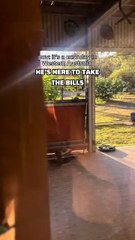 Kangaroos in Australia visiting home