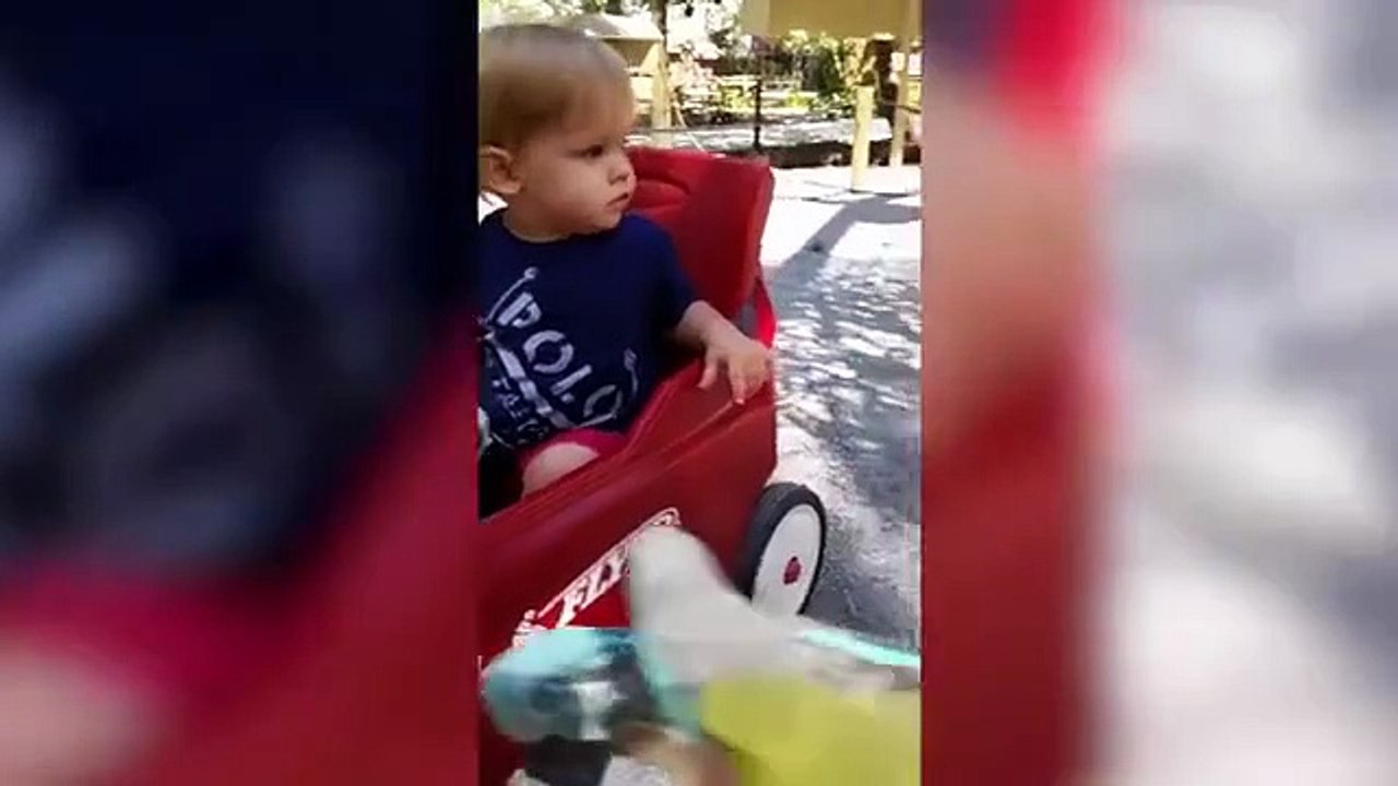 Funny Animals Compilation Best Funny Pets and Hilarious Animal Moments 2025