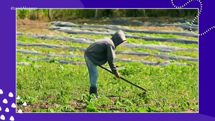 ISSO É ALAGOAS 2ºEP 01