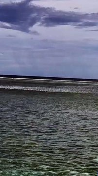 This is Epic! Forget Waders, We Need Fishing Boats for This Many Fish!