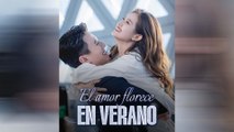 El Amor Florece En Verano
