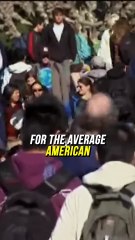 Why I Dropped Out of College