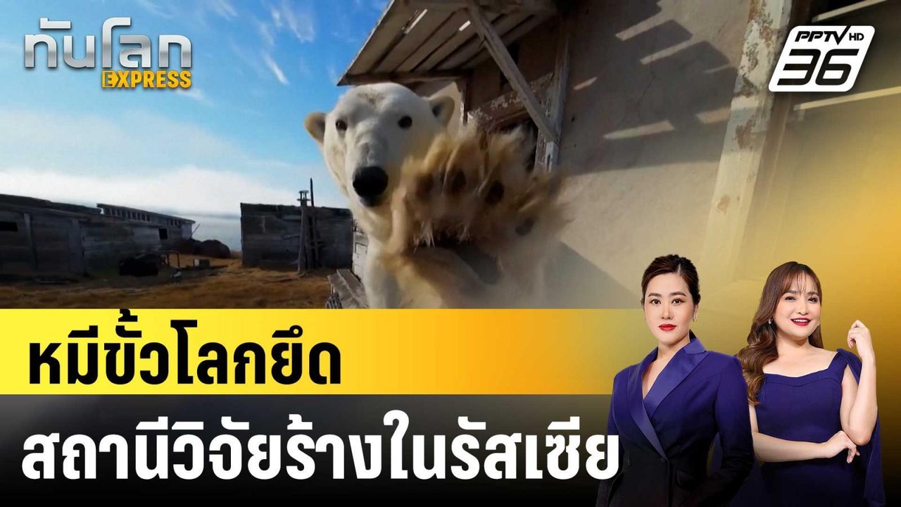 หมีขั้วโลกยึดสถานีวิจัยร้างบนหมู่เกาะอาร์กติกใน...