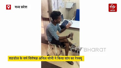 काटने वाले सांप को जिंदा पकड़कर इलाज कराने पहुंचा युवक, शहडोल अस्पताल में मचा हड़कंप