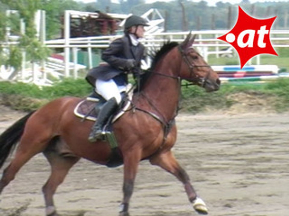 Cornelia Zwinz, Springreiten, Kottingbrunn (2008-007)